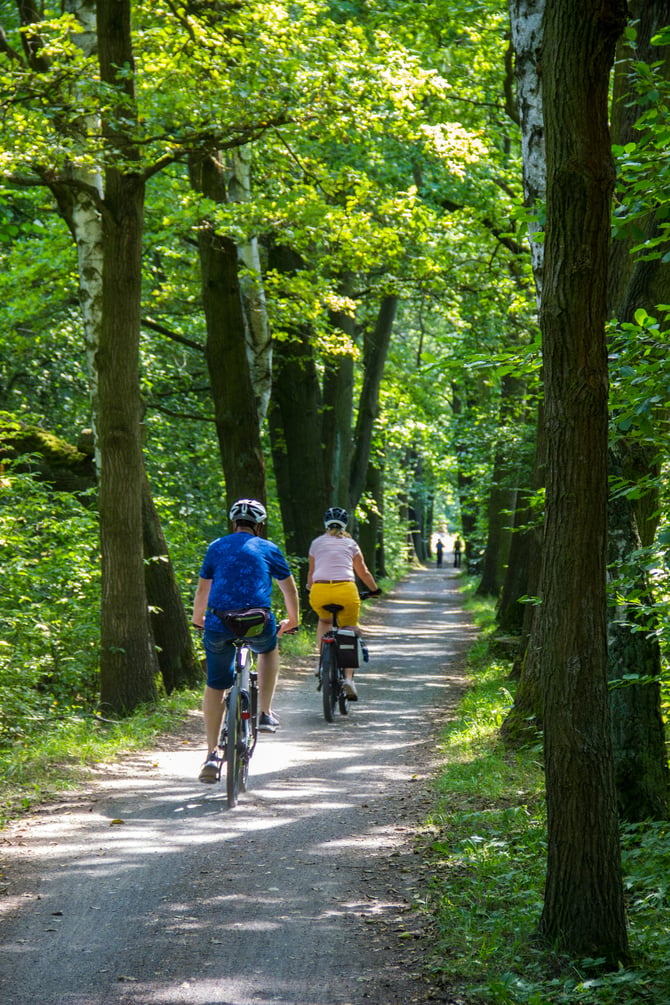 Biking the Carriage Roads