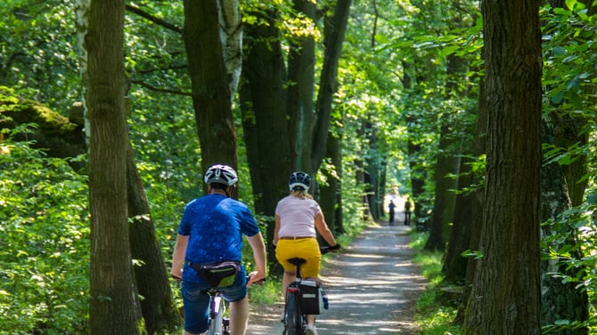 Biking the Carriage Roads