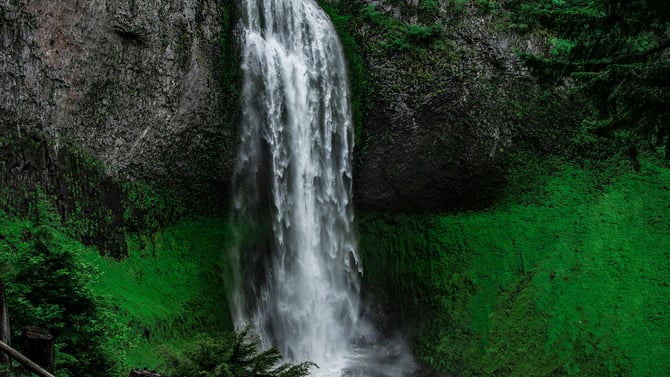 Swimming and Waterfalls