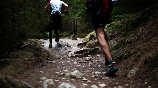 Hiking the Ridge